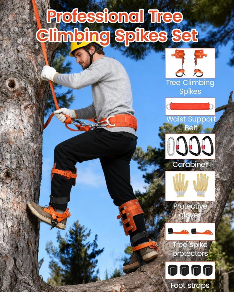 Xeoca Tree Climbing Spikes Set Tree Climbing Gear 1 Pair Alloy Steel Climbing Spurs 350lbs Load Capacity Arborist Equipment for Climbers, Fruit Picking and Lumberjack - Image 3